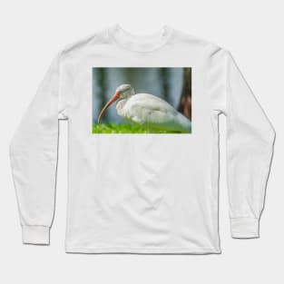 Gatorland Ibis Long Sleeve T-Shirt